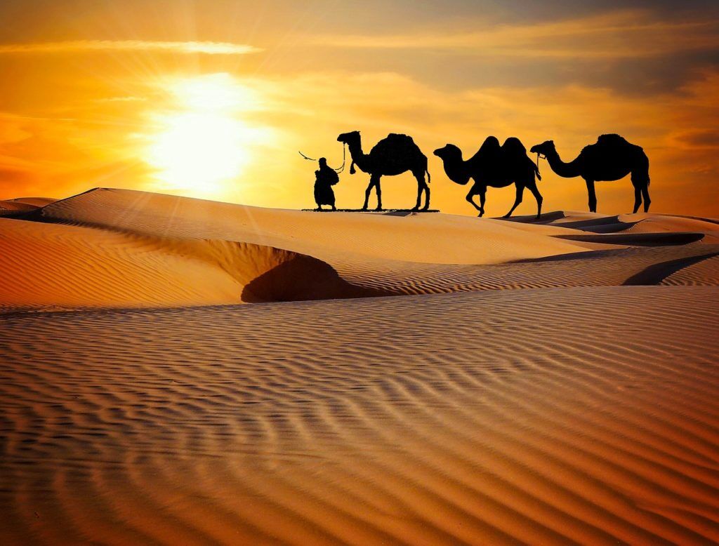Why Should You Visit Desert Safari When in Dubai?