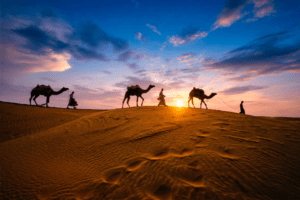 Symbol of Renewal and Hope in Desert Safari